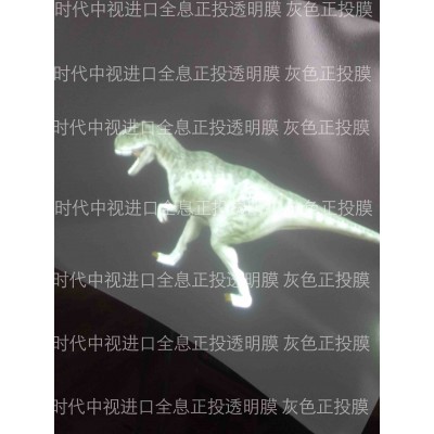 全息正投膜供應(yīng)商 全息正投灰膜