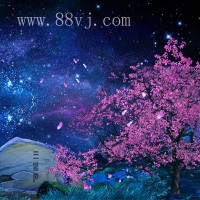 花草樹(shù)木，夢(mèng)幻叢林，森林全息投影素材，夢(mèng)幻浪漫素材
