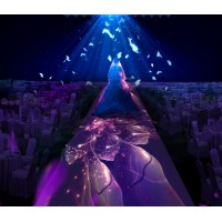 全息投影 深圳3D全息宴會廳 3D全息婚宴 沉浸式體驗廳